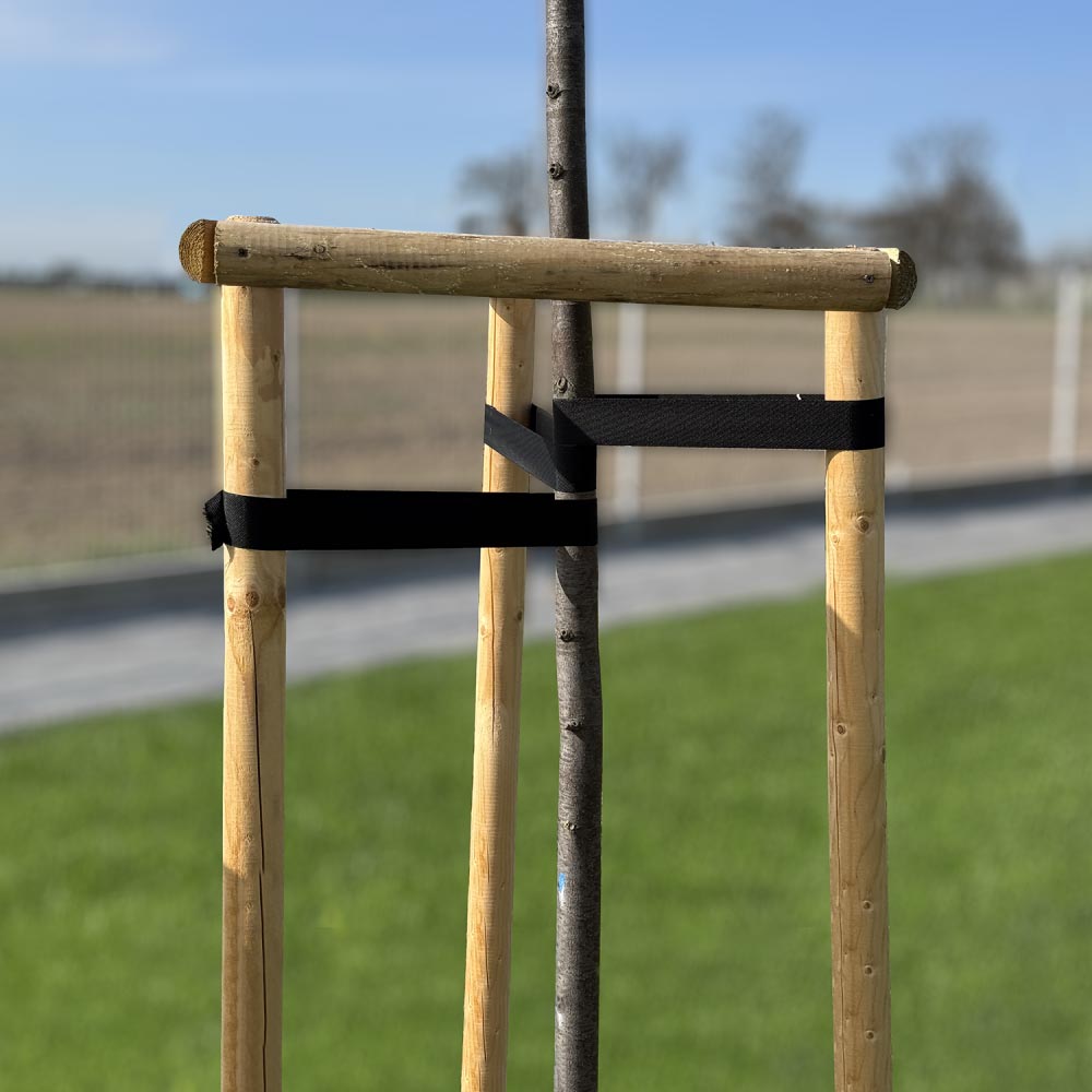 Купити стрічка для стабілізації дерев, tree support, 40 мм x 25 м, tyts4025/bk в Україні.. Фото 3 Купити стрічка для стабілізації дерев, tree support, 40 мм x 25 м, tyts4025/bk в Україні.. Фото 3
